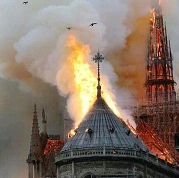 MosesMusanzi's tweet photo. First pic: A church in France was saved in a day by the whole world.

Second pic: Amazon forest has been burning for three weeks and the public and media are not talking about such damage Earth will have to face in the future. 

#AmazonRainforest #PrayForTheAmazon https://t.co/FqhDtGrC1J