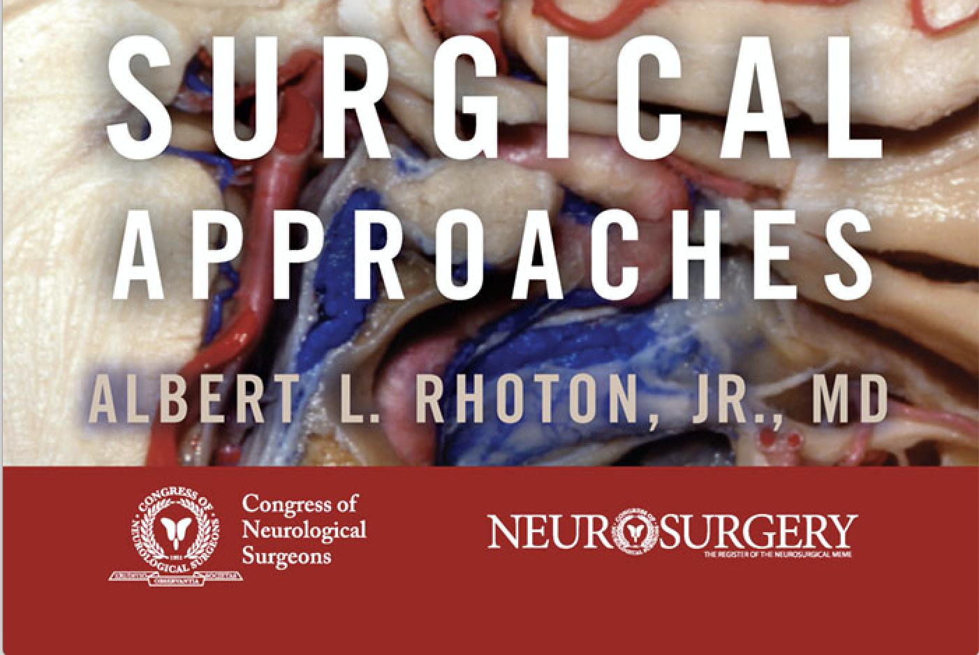 Neurosurgery Publications on X: 