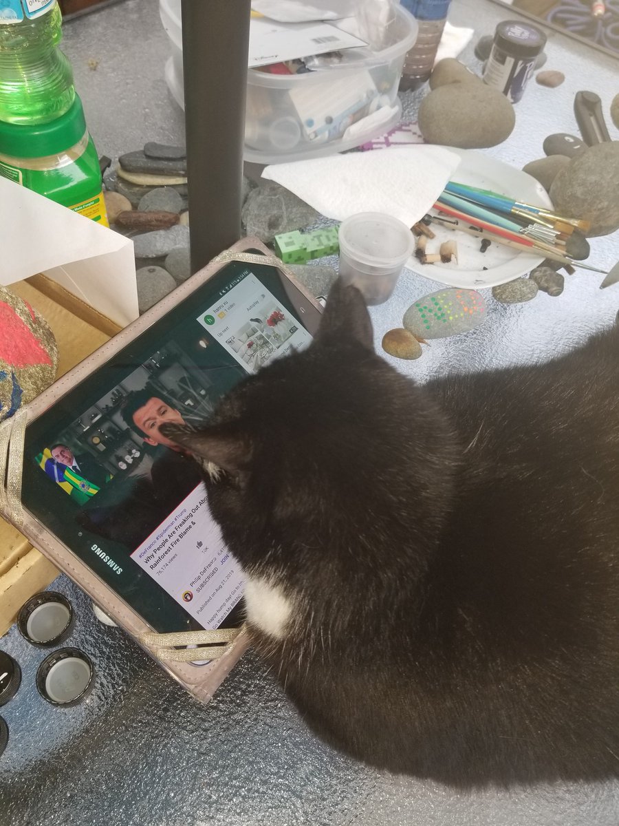 QtGeekGrl's tweet photo. Moo just getting her daily dose of Phil @PhillyD she just got philed in https://t.co/SCOZgTnHwX