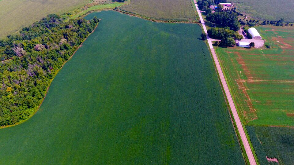 Millstone Crop tweet media