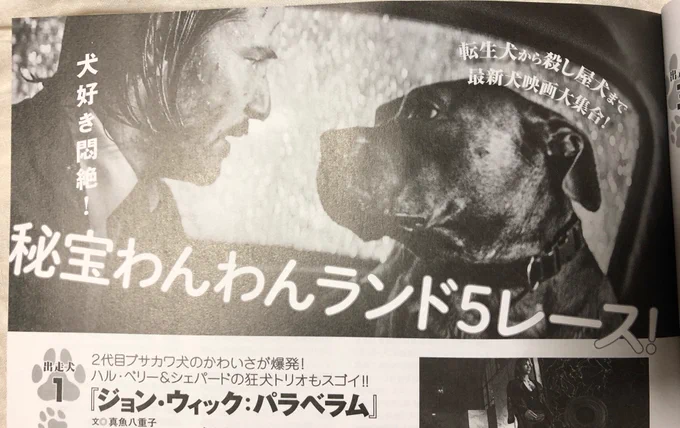 映画秘宝10月号の「犬映画」特集で、イタリア映画『ドッグマン』のレビュー記事を書いてます。ヒーロー映画ではないですが、犬の怖さや愛おしさが存分に詰まった映画なのでぜひ大画面で。イタリアで夜中に散歩してたら犬に追っかけられた体験も記… 