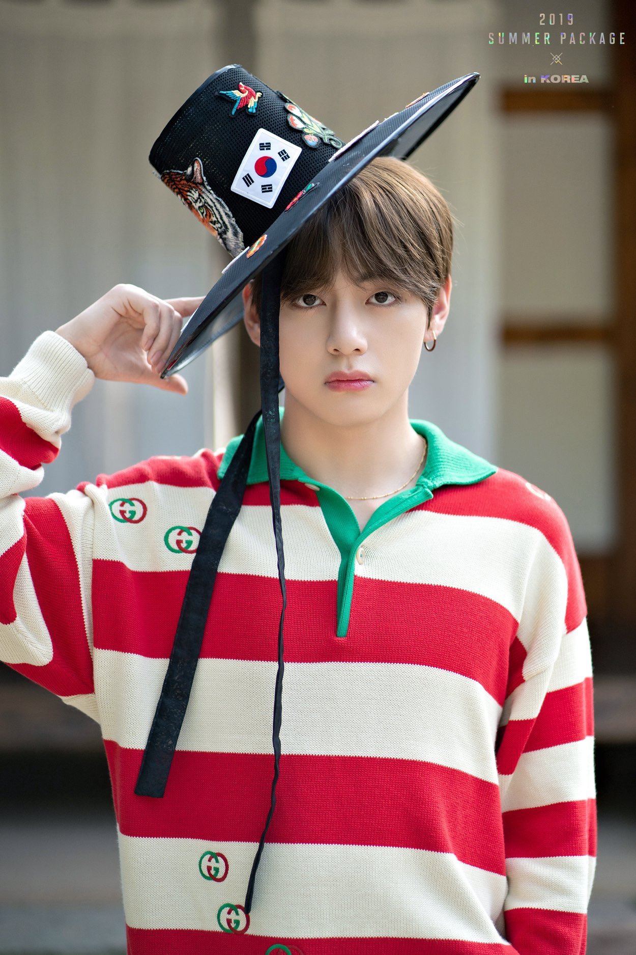 BTS summer package 2019 ダイアリー V テテ