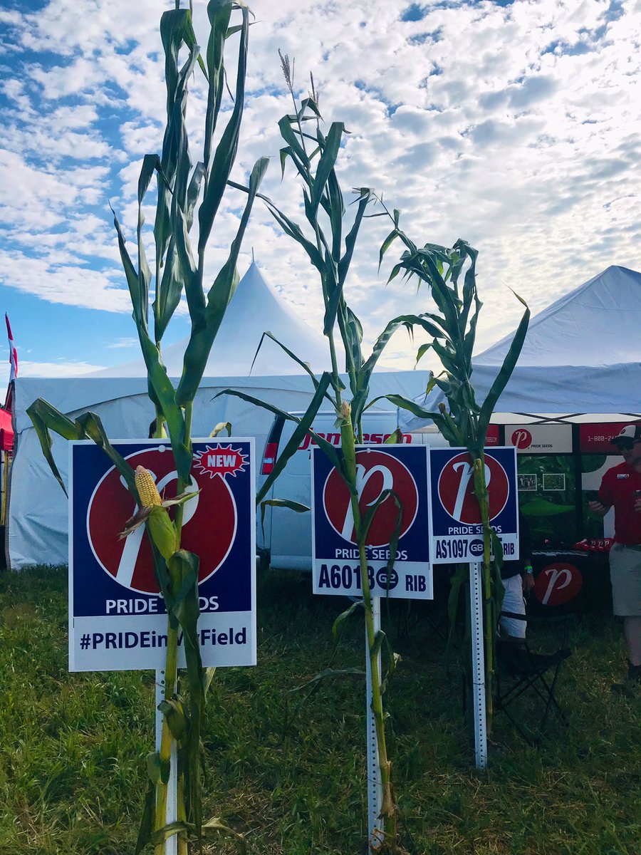 Last day at the Hastings county plowing match 🚜 stop by the @PRIDESEEDS booth to pick up you’re 2020 yield guides and talk to <a href="/neil_mcg38/">Neil McGregor</a> #PRIDEinMyField