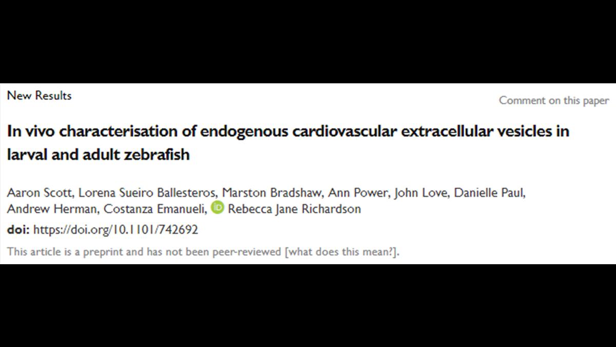 AaronJonScott's tweet photo. Excited to see my first paper on @biorxivpreprint 🎉

We (me, @Beck4science and collaborators) have been working hard to develop larval &amp; adult zebrafish models to explore the in vivo world of extracellular vesicles. https://t.co/qvxJ0iHRfT