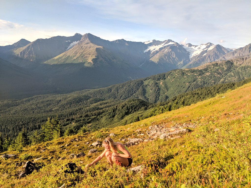 lizzynaf's tweet photo. Alaska, you beautiful 🏞️🌿#alaska #hike #travel #adventure #getoutside #earthporn #alyeska https://t.co/x59BfXa0Gd