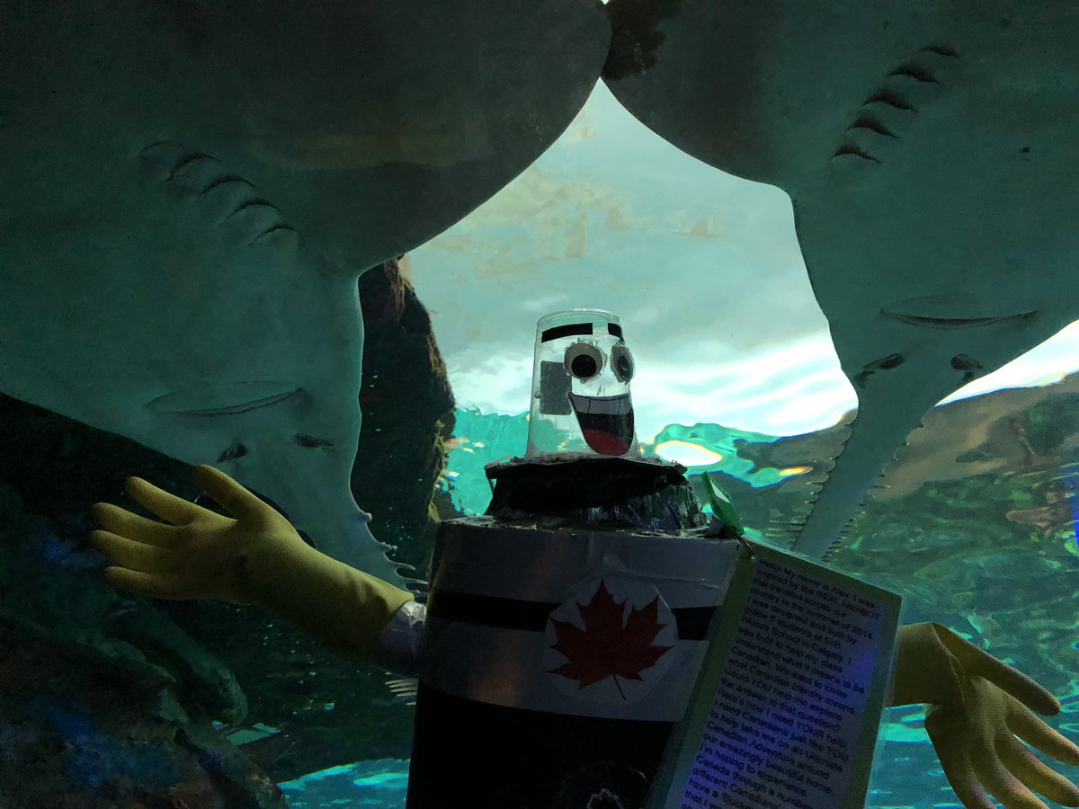 RipleysAquaCA's tweet photo. Thanks for swimming by Alex! @HitchbotWoods We hope that you enjoy the rest of your adventures! 🤖🌊

Alex is currently travelling across the country to get a better understanding of what it means to be Canadian! https://t.co/dhxjcKE3jY