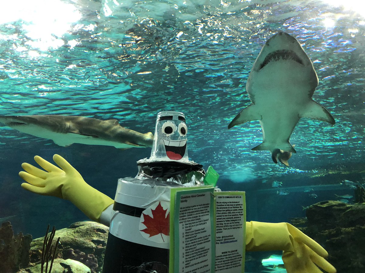 RipleysAquaCA's tweet photo. Thanks for swimming by Alex! @HitchbotWoods We hope that you enjoy the rest of your adventures! 🤖🌊

Alex is currently travelling across the country to get a better understanding of what it means to be Canadian! https://t.co/dhxjcKE3jY
