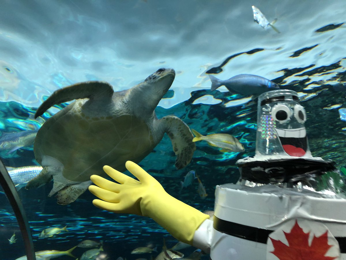 RipleysAquaCA's tweet photo. Thanks for swimming by Alex! @HitchbotWoods We hope that you enjoy the rest of your adventures! 🤖🌊

Alex is currently travelling across the country to get a better understanding of what it means to be Canadian! https://t.co/dhxjcKE3jY