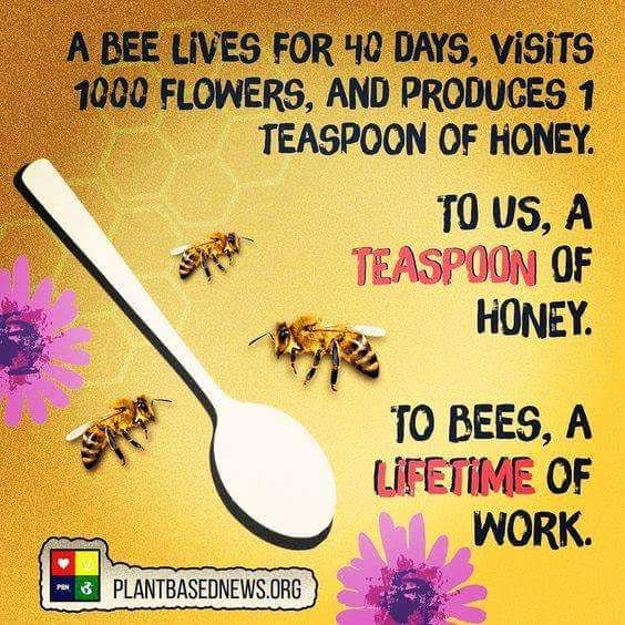 Keowee Bee (@KeoweeBee) / Posts / X