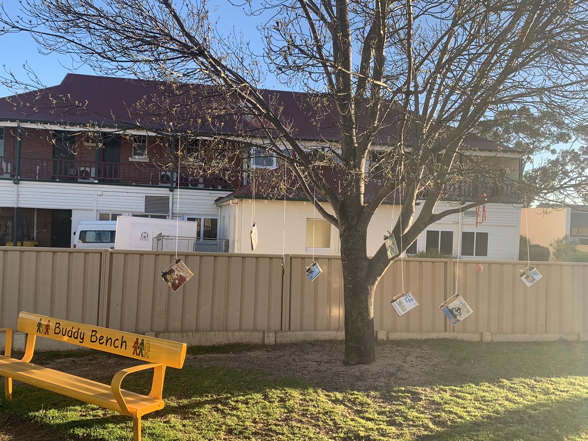 ChicoTenney's tweet photo. Our hanging book tree at St Matthew’s School, Narrogin, to celebrate BookWeek🌲📚🌲📚 kids loved it https://t.co/TCje4GFzTe