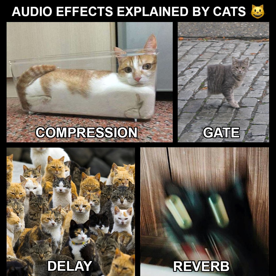 Makes a whole lot more sense now 😹