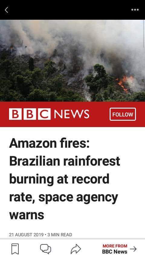 shudhanshu_'s tweet image. Connect the dots. #AmazonFire #SAVEAMAZONFOREST