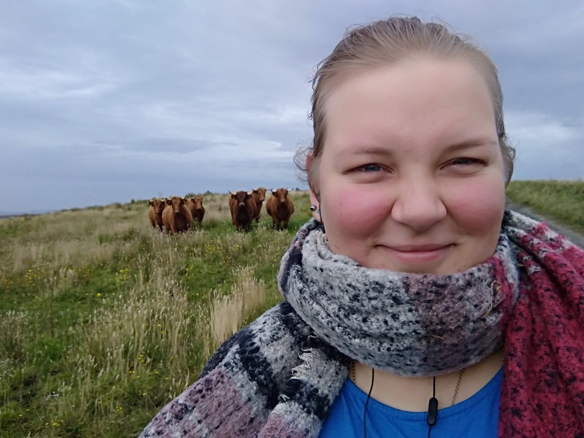 FinchenSnail's tweet photo. They Call Me The Cow Whisperer (or Flotta Has The Sweetest Moos) https://t.co/Morn3fSRer