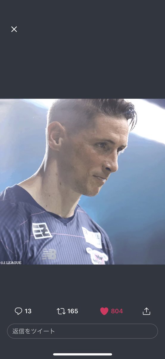 🐾_tecchan tweet media