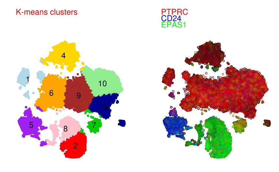 professoreng's tweet photo. Last week’s tumor is today’s #SingleCell data in our lab.  Thinking about best representation of multivariate space with colors. #DataScience https://t.co/9JyISNjXWv