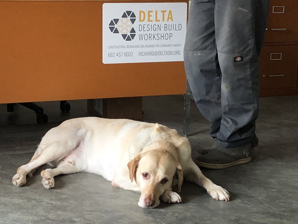 delta_d_b's tweet photo. "The Dog Days of Summer" are here, so we decided to feature some of the trusty #deltadb dogs. These pups are key team members, even if their carpentry skills are more advanced in terms of gnawing than sawing. Ft: Huckleberry, Bonsai, Leni, Lola, Augie, &amp; Grek https://t.co/ZVrK6IAOQl