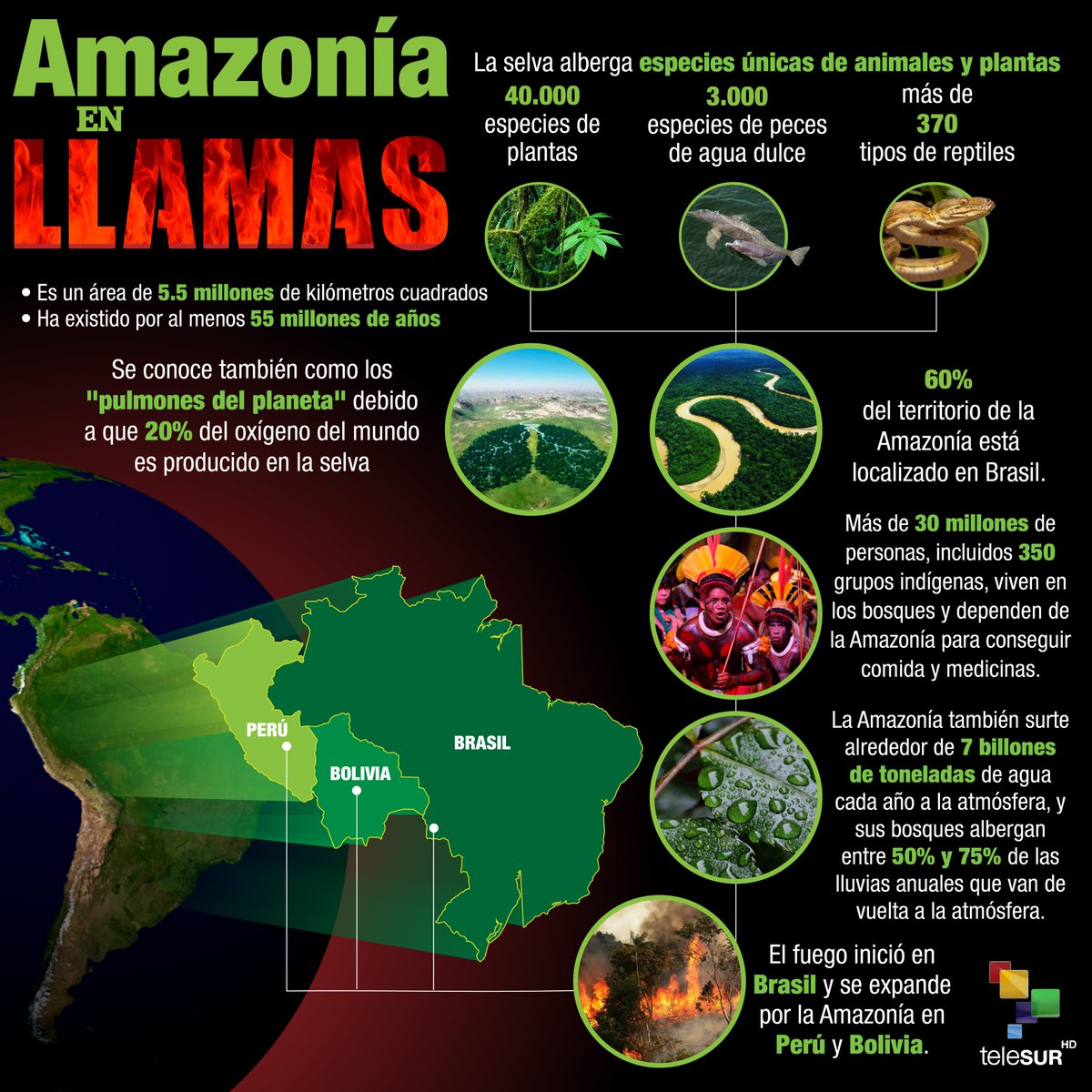 teleSURtv's tweet photo. Sin los bosques amazónicos perderíamos gran parte de la producción de oxígeno y agua dulce del planeta

Lamentablemente el incendio en la Amazonía no para y sigue avanzando hacia el interior de la selva👉https://t.co/1f0ggL2R9o

#AmazoniaEnLlamas https://t.co/YyOhHYyyGu