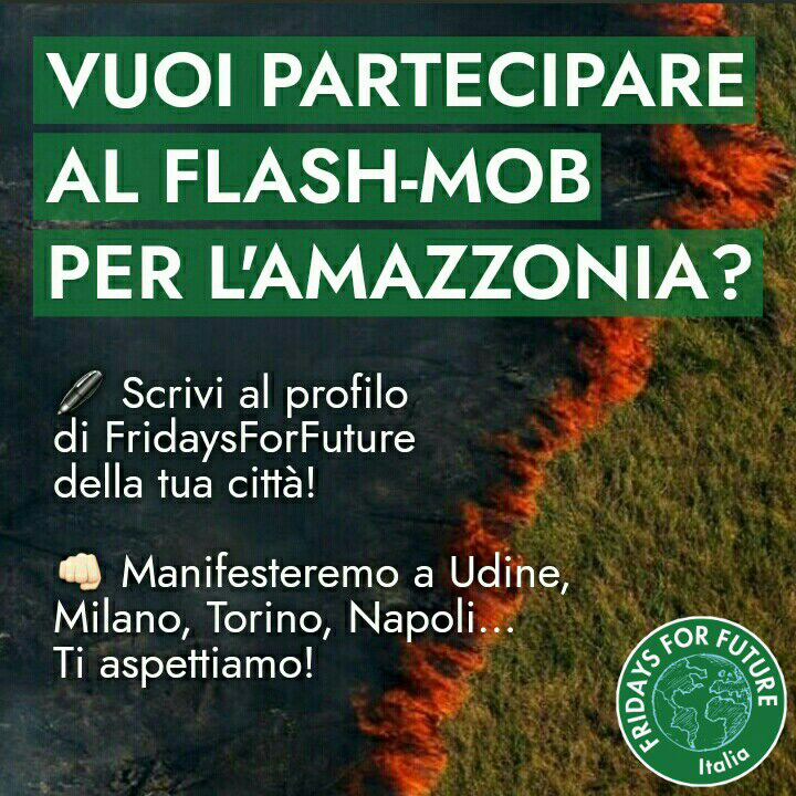 fffitalia's tweet photo. 💥L'Amazzonia continua a bruciare, noi non resteremo a guardare! Fridays For Future lancia il flashmob  #SOSAmazonia a cui parteciperanno gli attivisti di tutto il mondo! Domani, unisciti anche tu, ovunque tu sia!
Scrivi al gruppo #FFF della tua città, ti daranno tutte le info! https://t.co/oJbQcUkzSo
