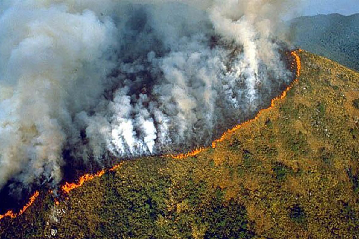 ClarionTweets's tweet photo. The #AmazonForestFires have been going on for too long with very little media coverage and devastating effects. It may be happening far away for some but the consequences are affecting us all. #PrayforAmazonia https://t.co/gyjzykpm6S