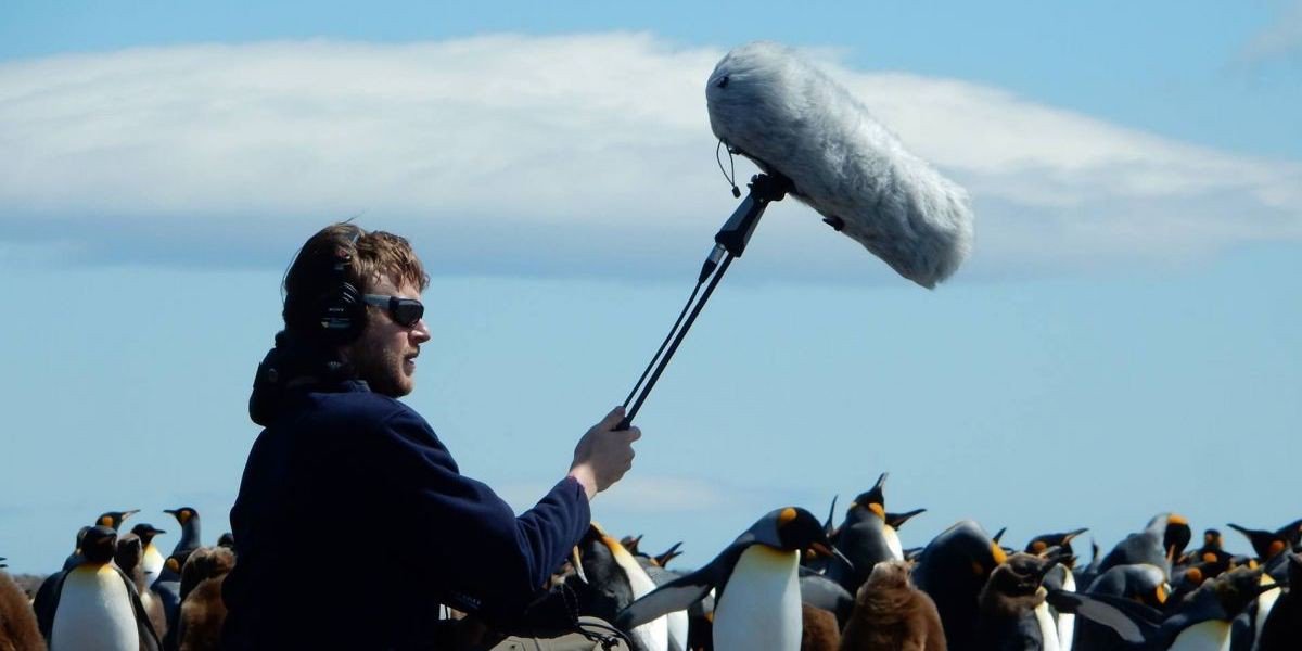 MagazineTrax's tweet photo. Un compositeur français s'est fait tuer par un ours lors d'une session de field recording

👉 https://t.co/k0kaSOqard https://t.co/rx8yYoLM1X