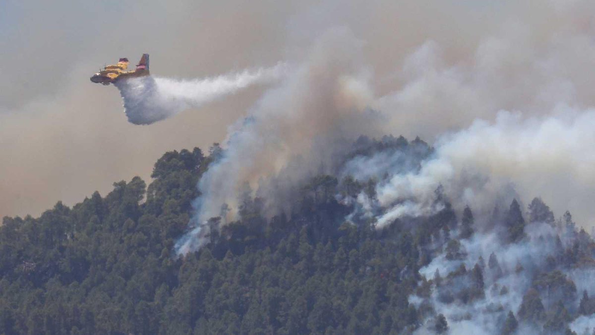 Todo mi apoyo y cariño a las personas afectadas por el incendio en Gran Canaria. #FuerzaGranCanaria 🙏🏾❤