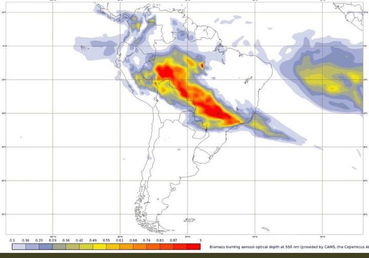 aleja_015's tweet photo. The Amazonia is 🔥🔥🔥 and tons of animals are dying!! Am I wrong thinking that my leaders are aware of the global implications of this catastrophe and are supporting all efforts to control the 🔥🔥?  @POTUS @IvanDuque @mauriciomacri @NicolasMaduro @MartinVizcarraC @evoespueblo https://t.co/0GFcC9hh7m