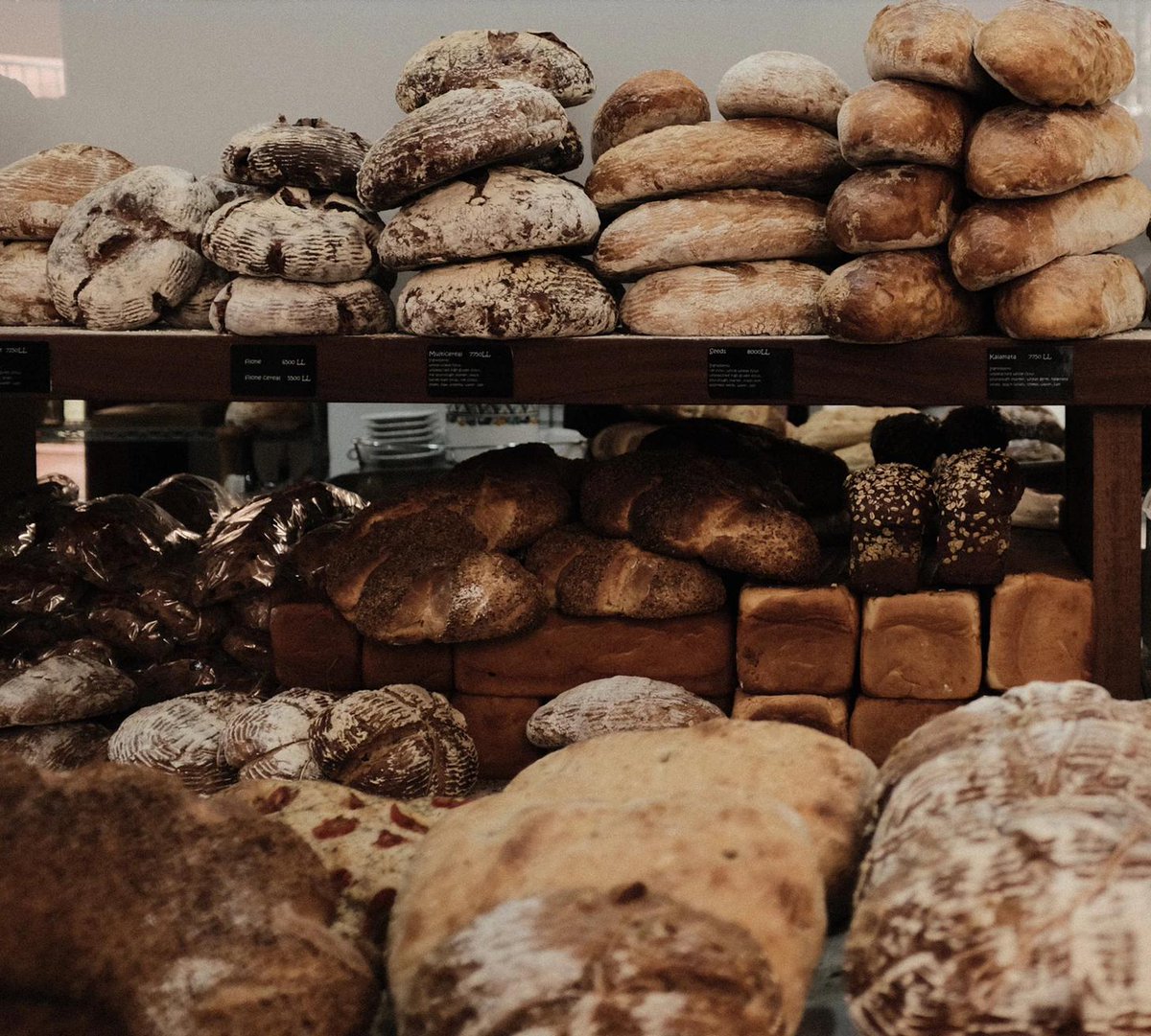 Essobrevivir1's tweet image. La dieta libre de gluten mejora la salud 🍞❌

Aprende más en nuestro blog 👇👇👇

essobrevivir.com/2019/08/la-die…
#bugoutgear #bugoutkit #bushcraft #bushcrafter #prepperporn #outdoorsman #survivalretreat