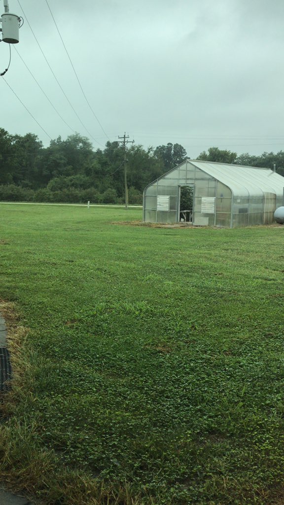 midmoturf's tweet photo. Raining day at the office. Make sure your turf gets plenty of water #nodayzoff #turf https://t.co/fdUwlzVrBD