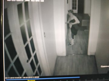 Ver imagen en Twitter