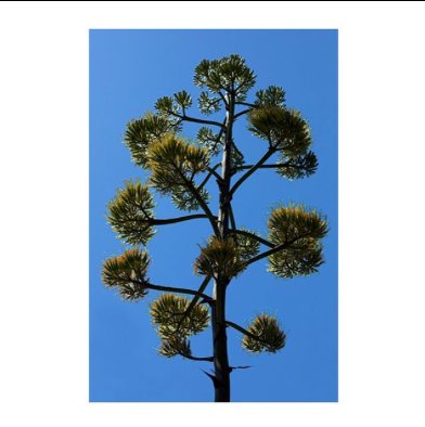 [IN TRANSIT]
SUMMER IS NOT OVER

   「 limagerie.fr」