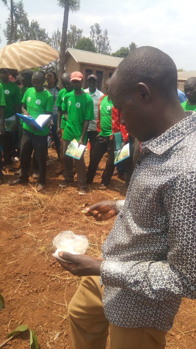 At Gahara Sector <a href="/KireheDistrict/">Kirehe District</a> ,Everyone is interested in the training of #GoodAgriculturePractices where citizens want themselves to be the first ones for making the improvement  in Agriculture as major career from #ThisPreparationOf2020SeasonA.<a href="/RwandaAgriBoard/">Rwanda Agriculture & Animal Resources Devpt Board</a> <a href="/SengeKM/">sengek min</a>