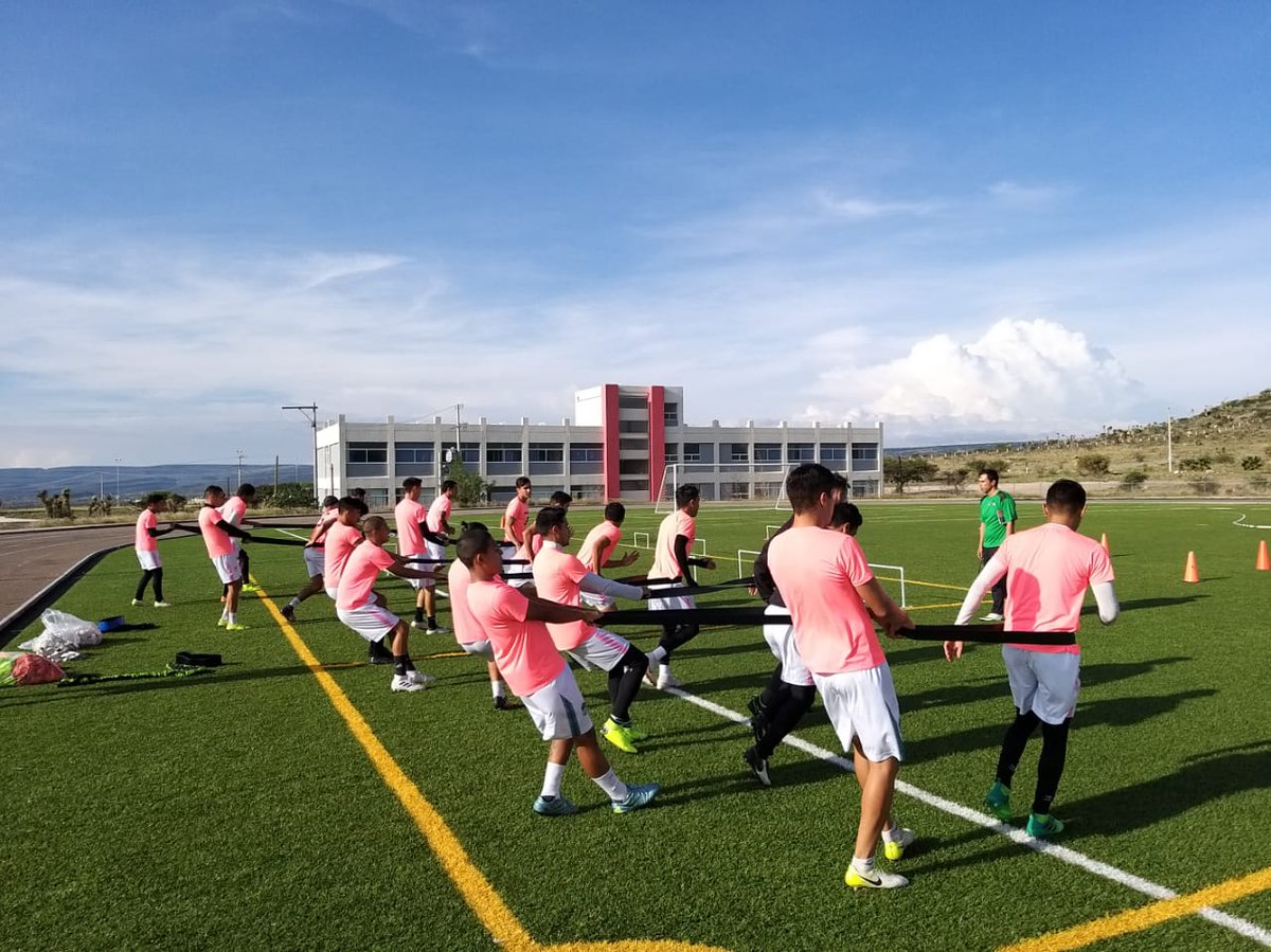AlacranesdDGO's tweet photo. ¡Buenos días afición 🇳🇬!

#SesiónMatutina

Hoy el equipo trabajara a doble sesión todo esto previó al encuentro del próximo sábado ante en el conjunto de @minerosfllo

#JuntoXelASCENSO
#PuroVENENO🦂 https://t.co/E43d0tDLwL