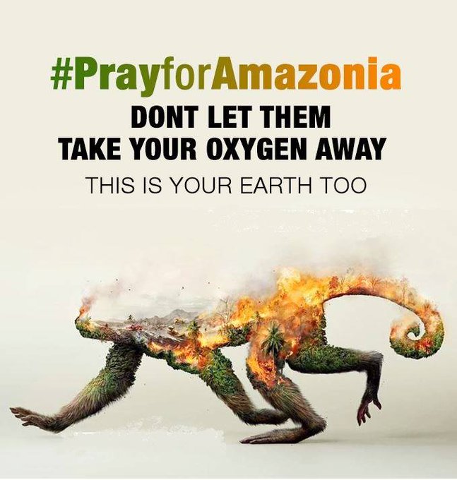 This is just so SAD 😭😭😭 #PrayforAmazonia #PrayForTheAmazon  #PrayforAmazonas https://t.co/FicfADIHAA<a href="/tag/prayforamazonia"class="tags">#PrayforAmazonia</a><a href="/tag/prayfortheamazon"class="tags">#PrayForTheAmazon</a><a href="/tag/prayforamazonas"class="tags"><span>#prayforamazonas</span></a>