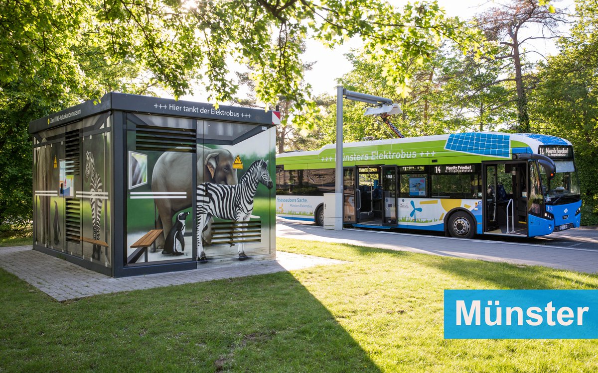 ZeEUSproject tweet media