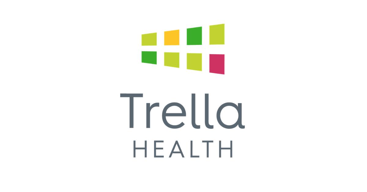 ebook Thought as a System