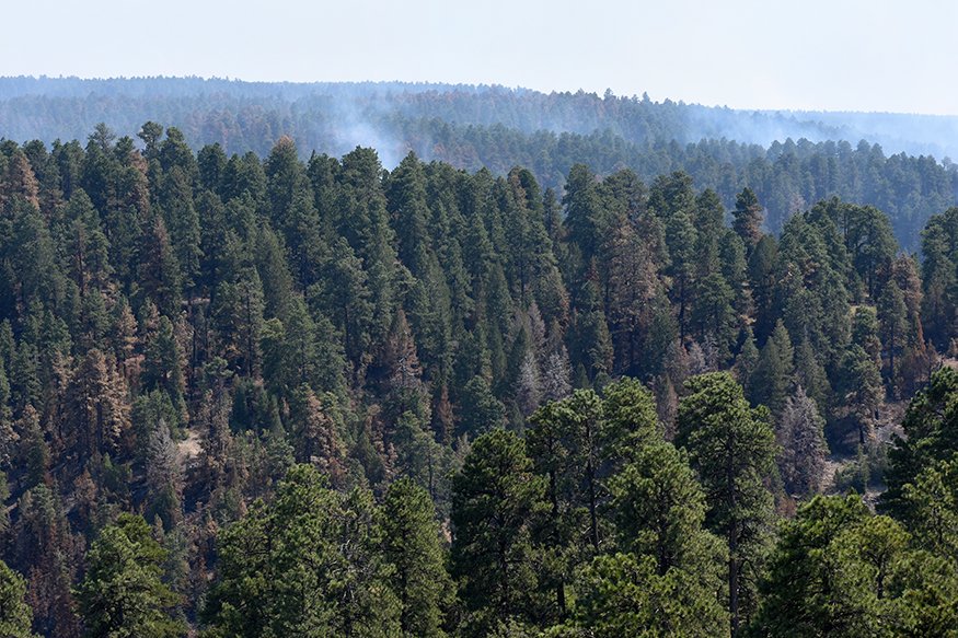 KaibabNF's tweet image. Over the last several days, crews have continued to reinforce all boundaries established for the #CastleFire, and fire managers do not anticipate any additional growth in acreage. Details at: bit.ly/33O4LTs