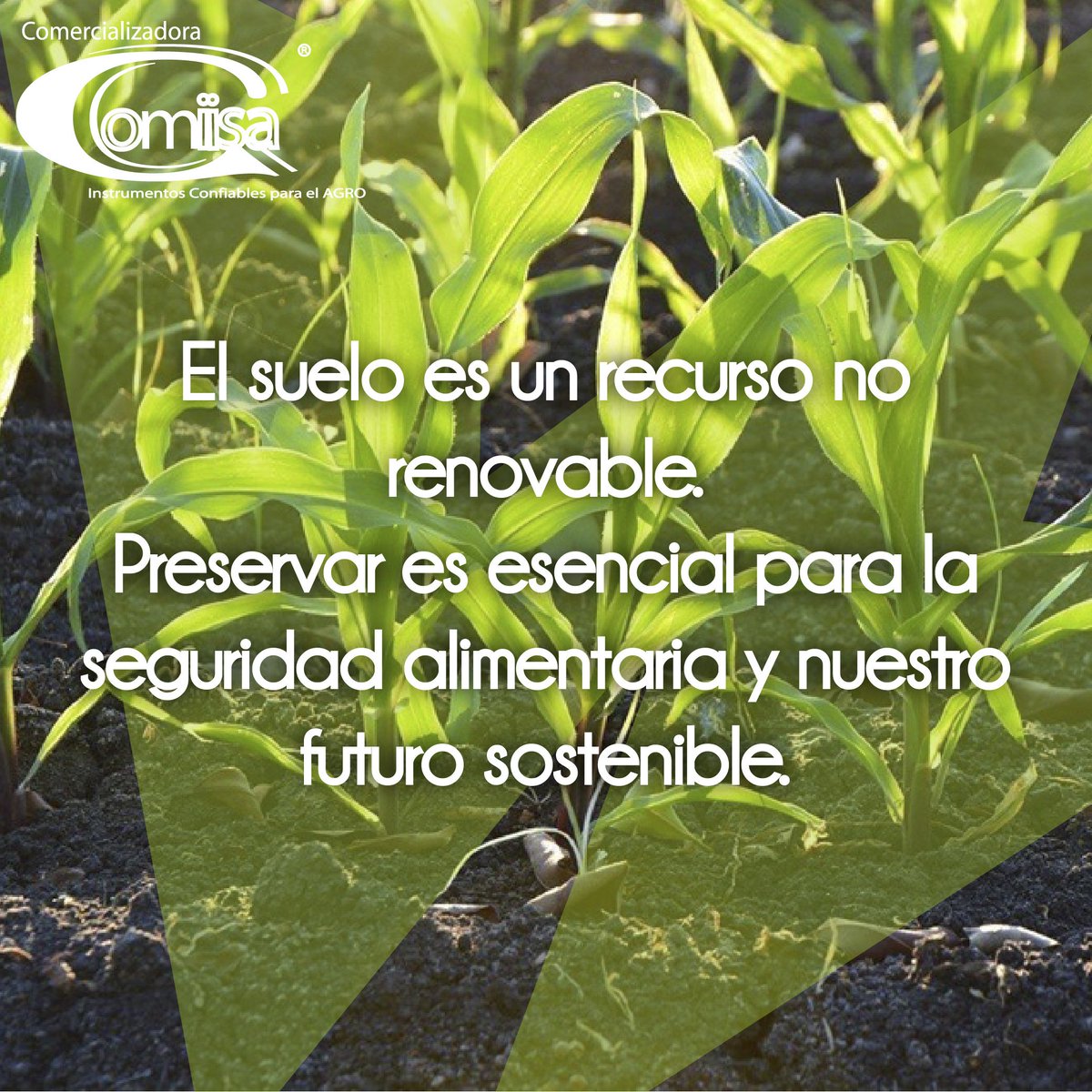 CComiisa's tweet photo. #COMIISA #MÉXICO #AGRICULTURA #AGRONOMIA #AGRO #HIDROPONIA #SUELO #FUTURO https://t.co/pst8k4WfQ9