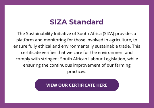 CitrusPiet's tweet photo. At Piet Citrus, we rely on nature to help us grow the best citrus fruit in South Africa. This is why we are committed to responsible, environmentally sustainable farming practices. https://t.co/EnevLujOSn

#Citrus #SustainableFarming #PietCitrus #FarmToTable #FarmFresh https://t.co/UkIMPiWCSr