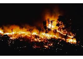 caterinad's tweet photo. In questi momenti siamo tutti - compresa me - presi dalla #CrisiDiGoverno. Dall'altra parte del mondo l' #Amazzonia brucia. In attesa che qualcuno accerti #responsabilità (che ci sono!), anche noi possiamo fare qualcosa: acquistare un albero su @Treedom. E' un inizio. https://t.co/ugFhK85zjD