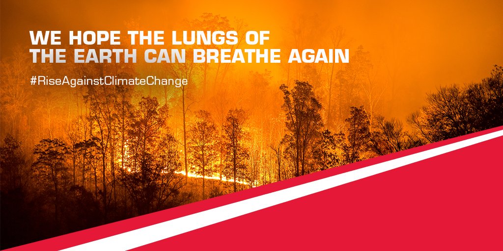 MahindraRise's tweet photo. Nature has given us the perfect tool to #RiseAgainstClimateChange - trees. It’s time to act now before we lose them all.
We at Mahindra #PrayForTheAmazon https://t.co/A4K2juISGM
