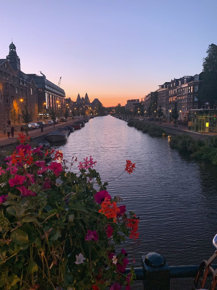 Kristin Wood tweet media