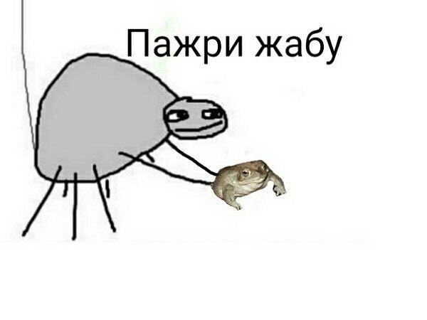 мем паучок папей. ну попей. мемы про чай. попей водички мем. на попей мем.