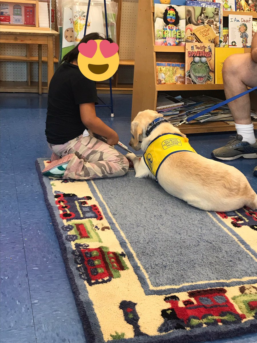 teachnbeach1's tweet image. Our companion dog is enjoying a @thepetethecat book! #weeread #weepet @AnnaRudowsky @FAmato53 @SuzanneMera @WeehawkenTSD