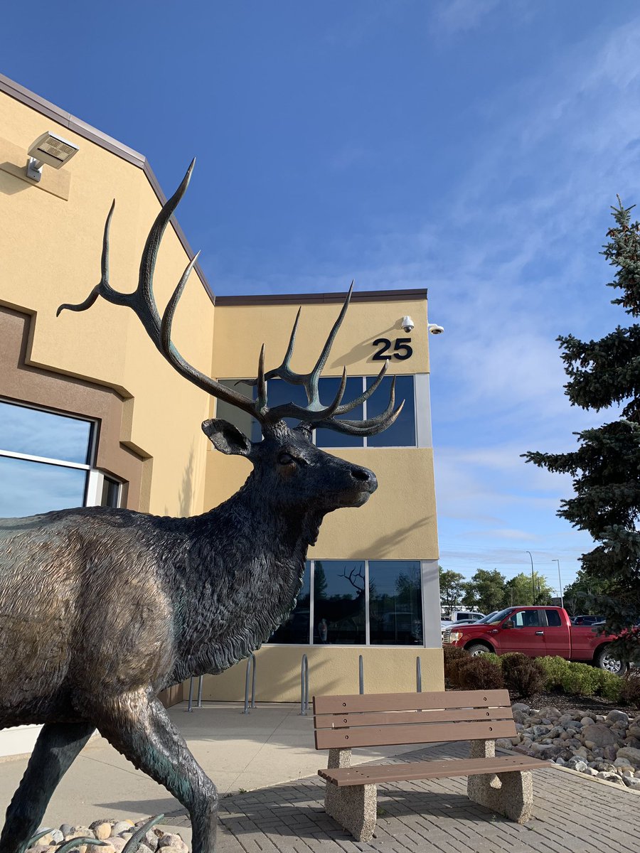 We are set up for lunch <a href="/Cabelas/">Cabela's</a> Head Office 25 De Baets St. Tomorrow is our last day of the season at 325 Broadway until <a href="/ManyFestWpg/">ManyFest</a> ! <a href="/PegCityGrub/">PegCityGrub</a> <a href="/PrairieTweeter/">Rob</a> <a href="/weheartwpg/">We Heart Winnipeg</a>