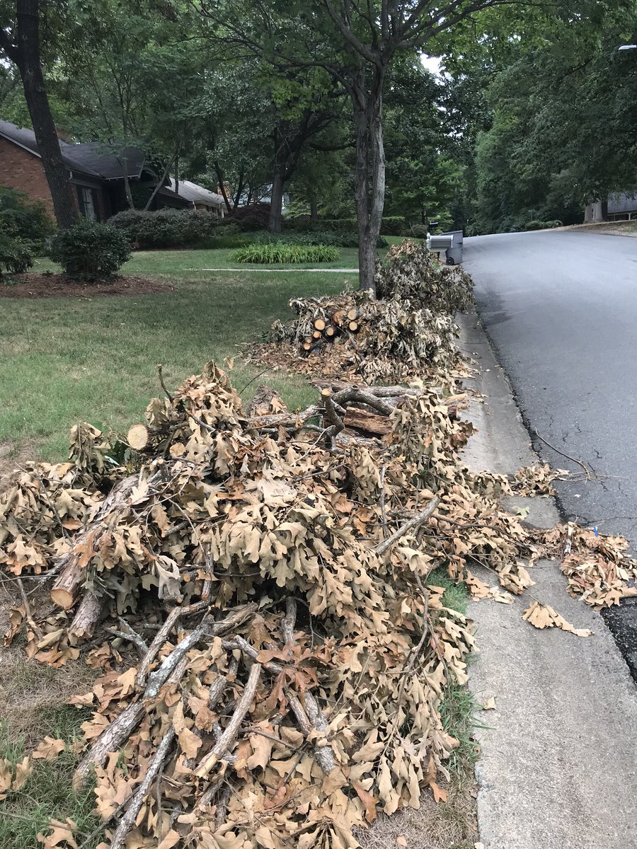 dcauble's tweet image. It shouldn’t be so hard to get @cltgov, specifically @CLTSWS , to work with you on yard waste removal.  This has been going on since August 13th.  ¡Increíble!