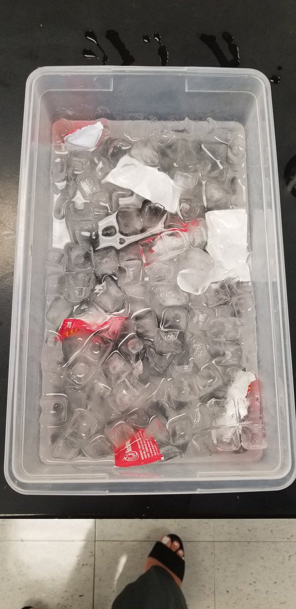Ms_ITamayo's tweet photo. Our 8th Grade students have fun while completing their lab: The Tomato Race. How will the ketchup temperature affect speed? @MiamiSup @MDCPSSouth @RedlandRoyals @MDCPSSci @Prin_Beckford https://t.co/OVKVwjjqoz