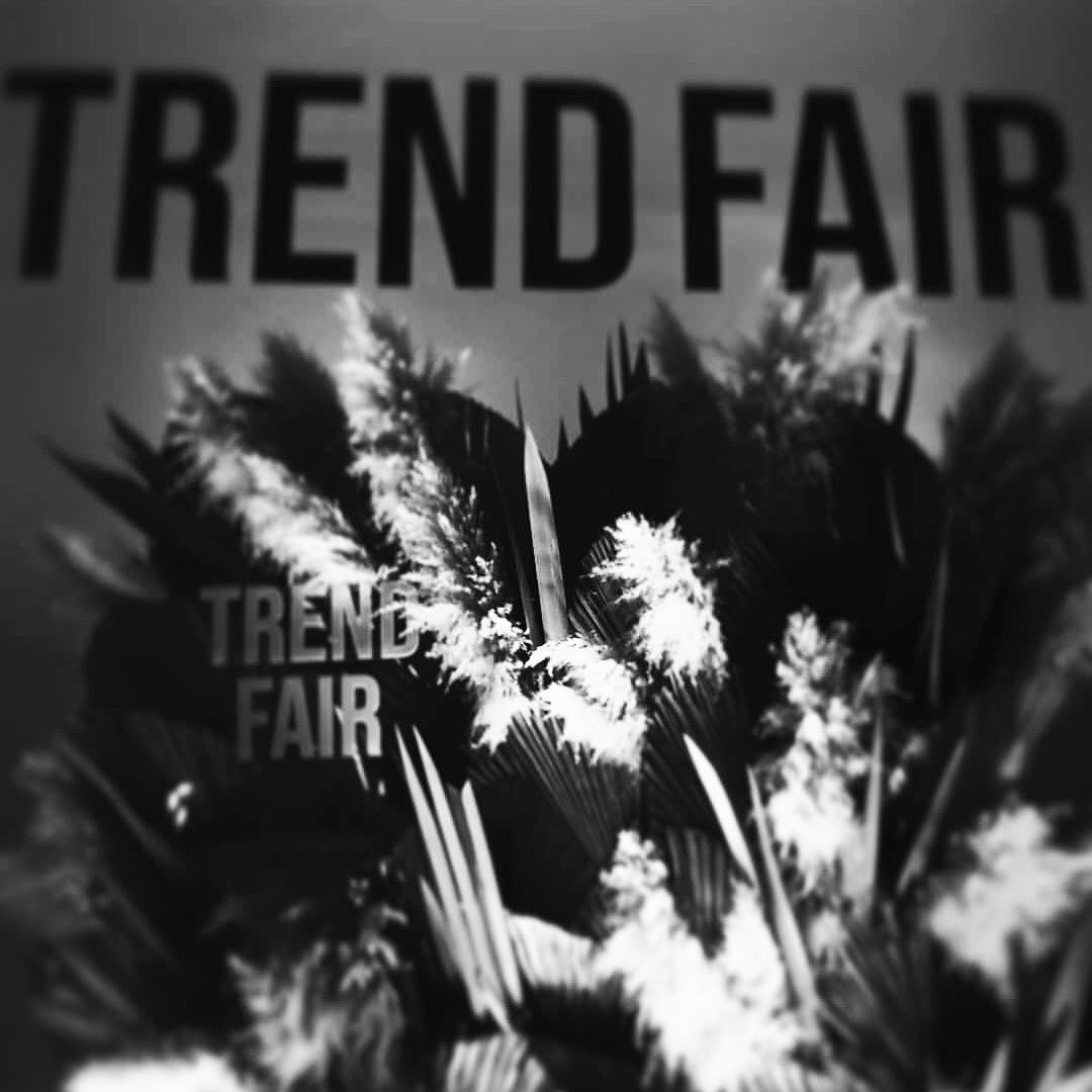 HYPER ANIMALS tweet media