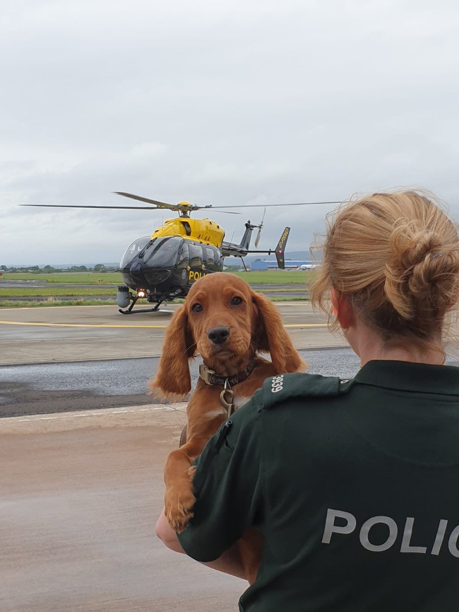 PSNI Air Support tweet media