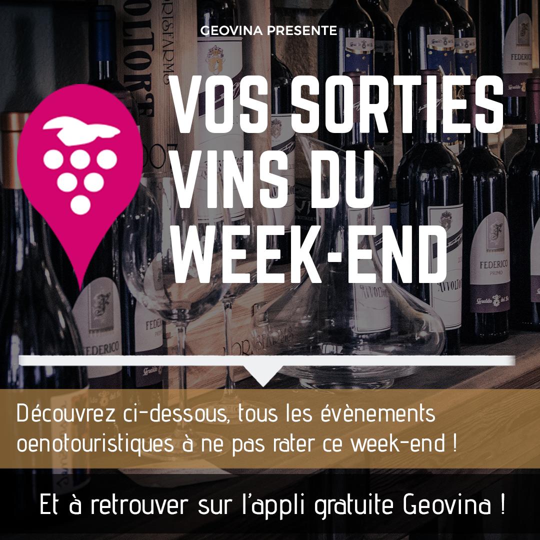 GeoVina tweet media