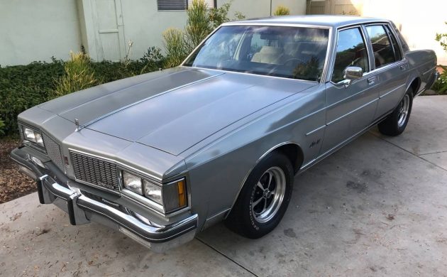 barnfinds's tweet image. 60k Mile 1984 #Oldsmobile Delta 88 Royale Brougham #Delta88 #RoyaleBrougham 
barnfinds.com/?p=301755
